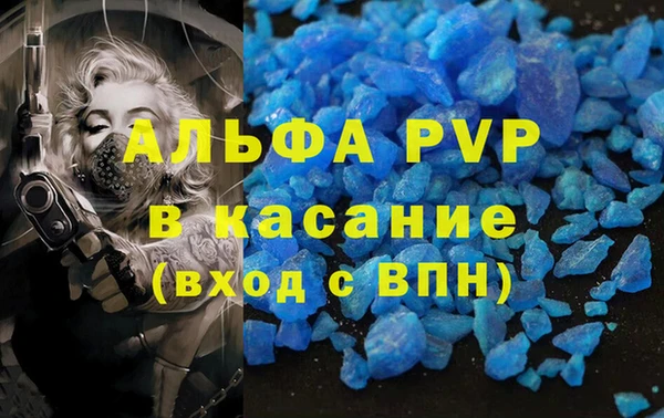 гидра Алексеевка