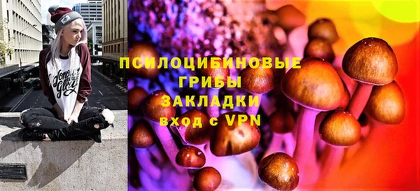 прущие грибы Тутаев