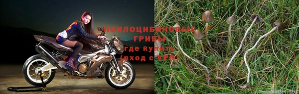 герыч Алексин