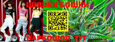spice Бердск